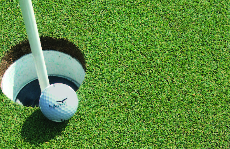 Golf Ball by Hole and flag stick