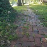 Sidewalk Street Tree Obstruction