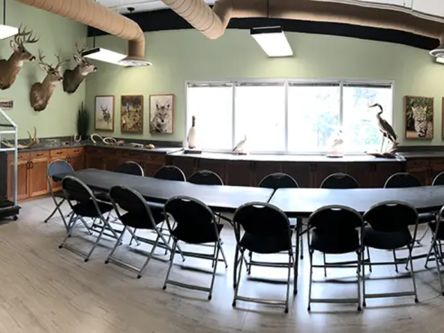 Prairie Park Nature Center Classroom Panorama Prairie Park Nature Center Classroom Panorama
