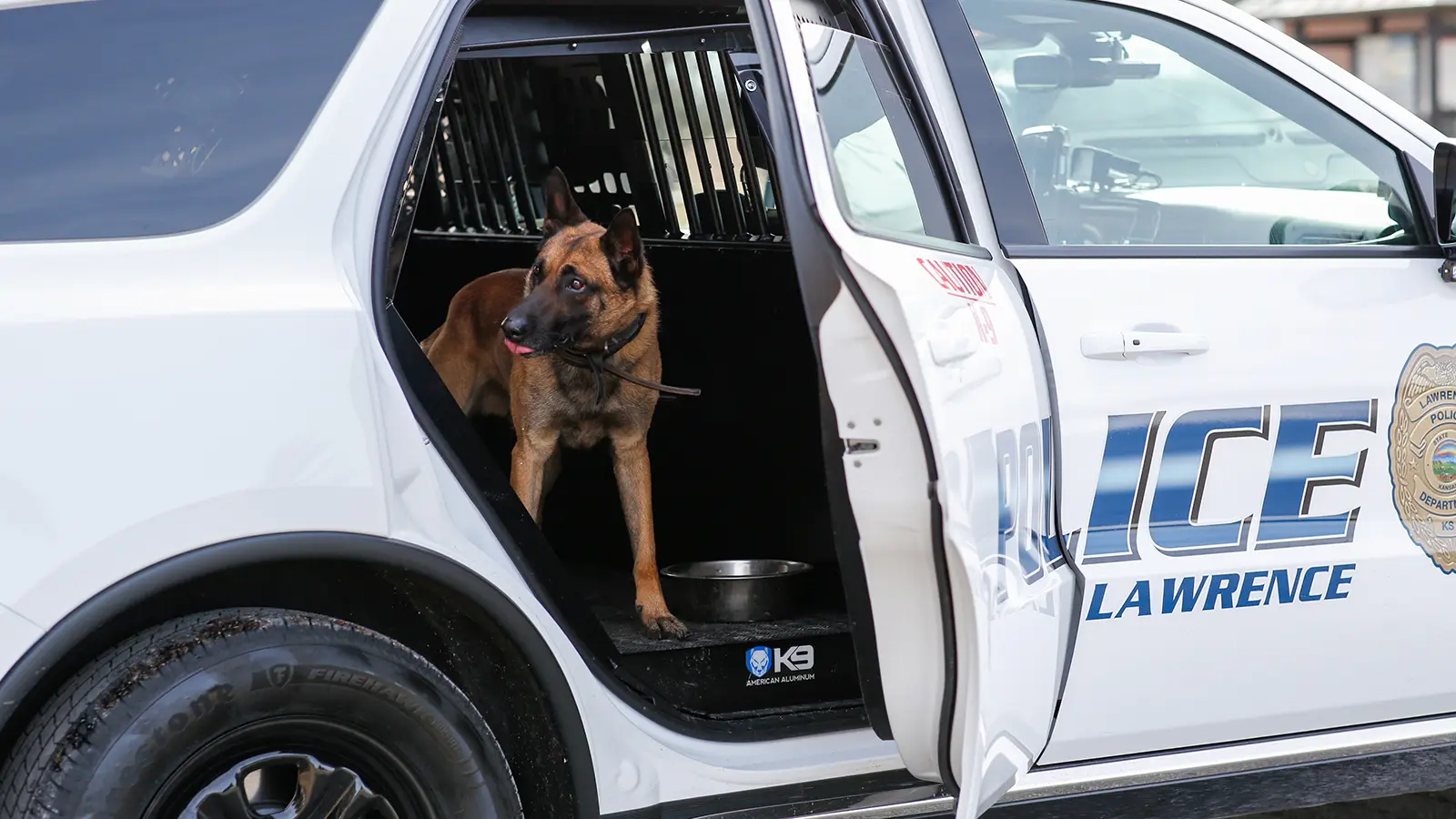 Featured image for “Taz the Newest LKPD K-9”