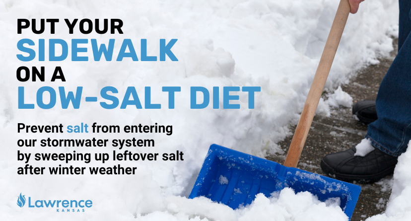 An image showing someone off screen shoveling snow. The caption reads "Put your sidewalk on a low salt diet. Prevent salt from entering our stormwater system by sweeping up leftover salt after winter weather."