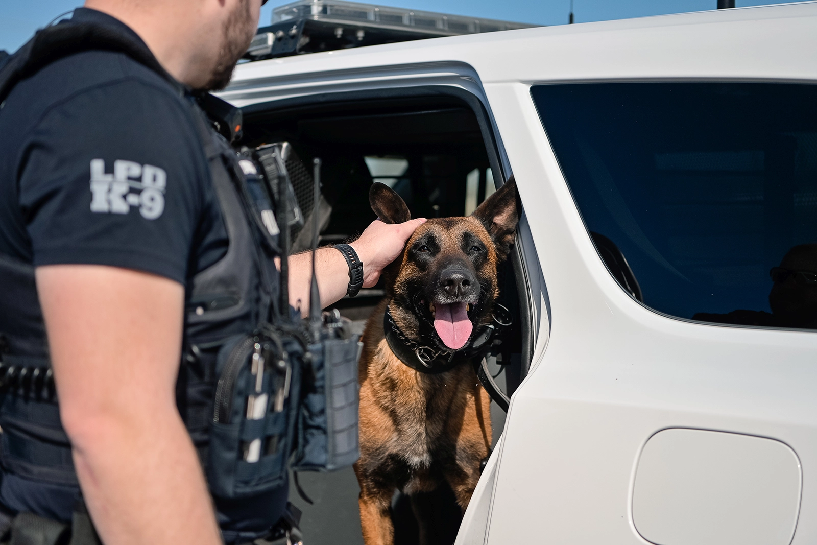Shadow in patrol vehicle